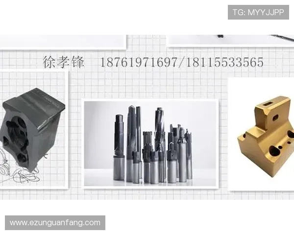 ag真人正版背景介绍及行业领先的技术保护措施